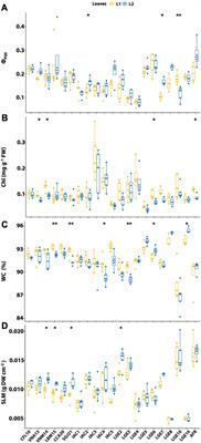 Rescuing the Brazilian Agave breeding program: morphophysiological and molecular characterization of a new germplasm